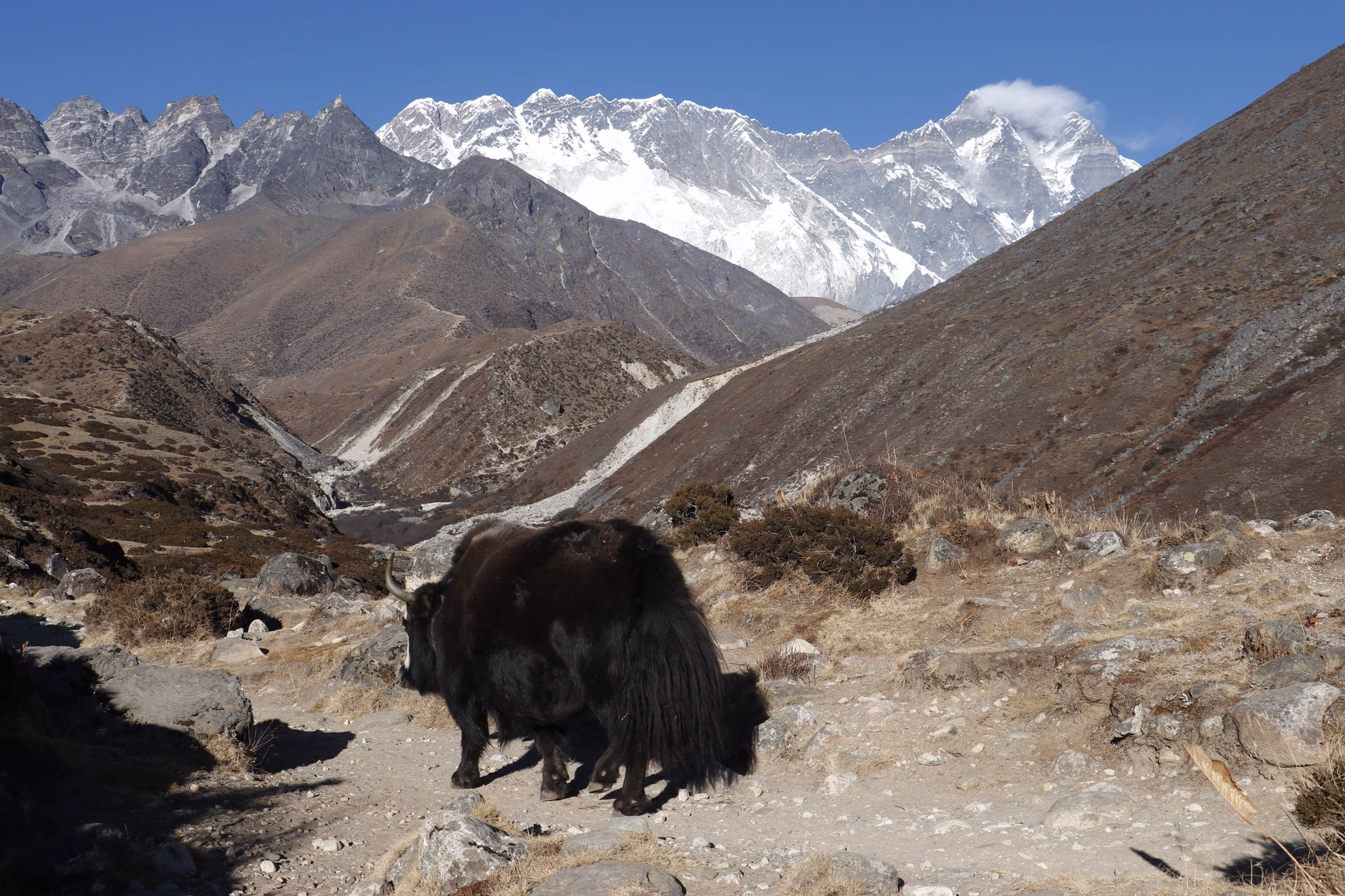 Luxury Everest Base Camp Trek  from Kathmandu with Helicopter Return