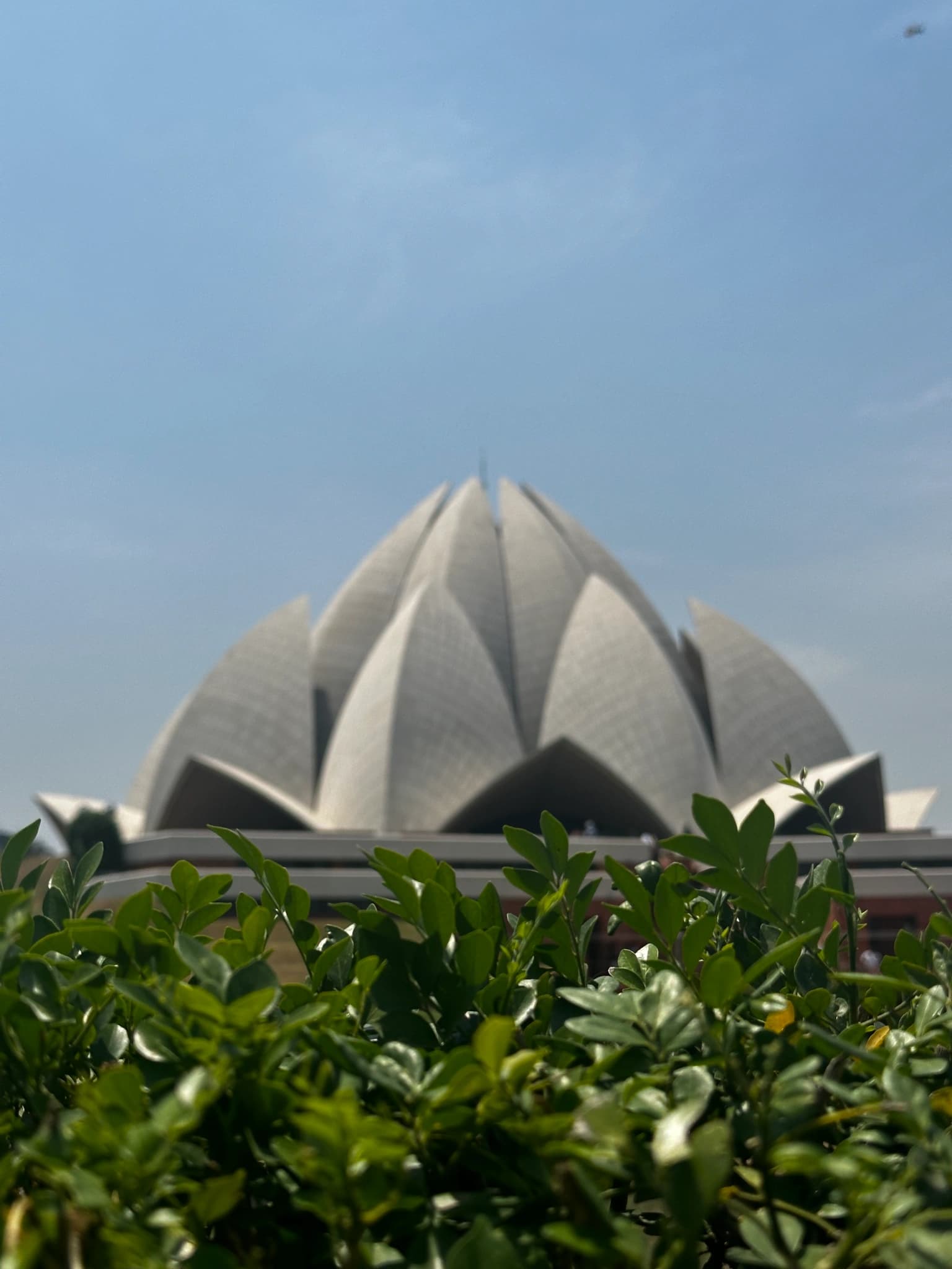 Golden Triangle India tour & Ranthambore Wildlife Safari