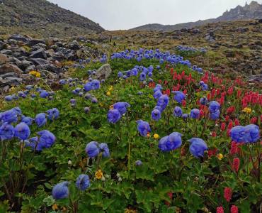 Best Time to Visit Nepal: Discover the Perfect Seasons for Unforgettable Experiences