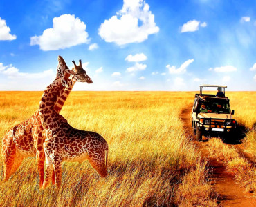 Best Tourist Attractions and Places To Visit in Tanzania