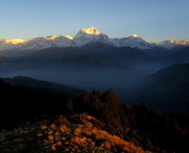 Ghorepani Poon Hill Trek