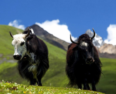 Top 5 Treks in Bhutan