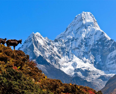 Why to go Trekking in Nepal?