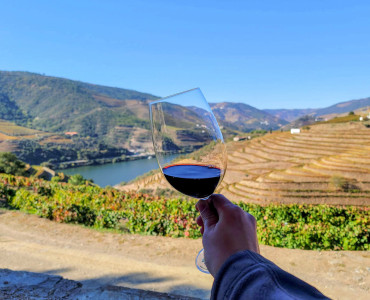 Wine Tasting in Nepal