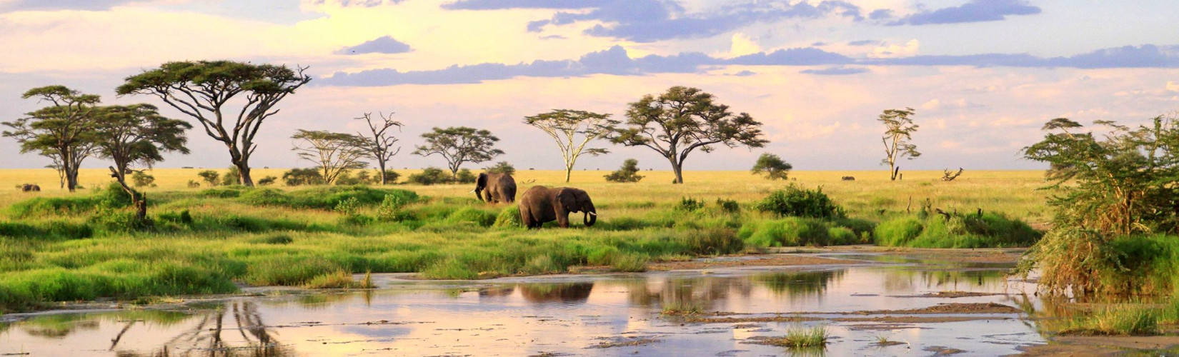 Best Tourist Attractions and Places To Visit in Tanzania