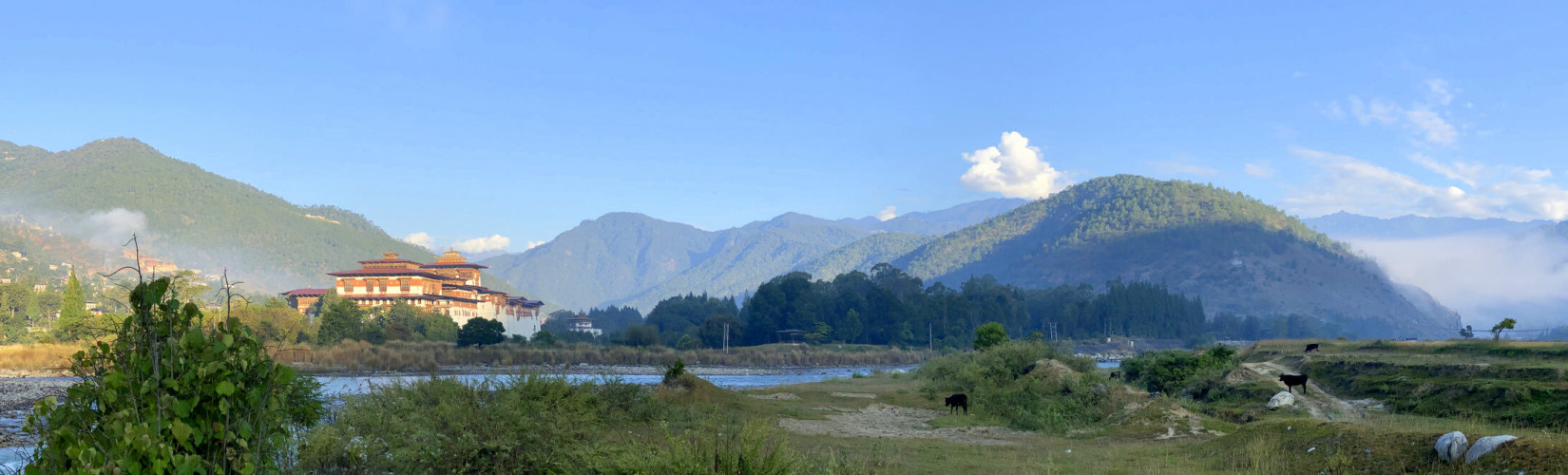 Bhutan's Unique Flora and Fauna