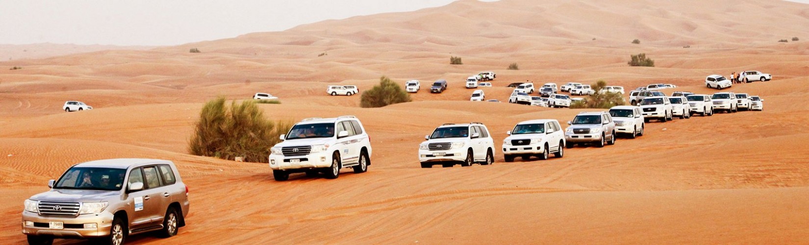 Dubai Desert Safari