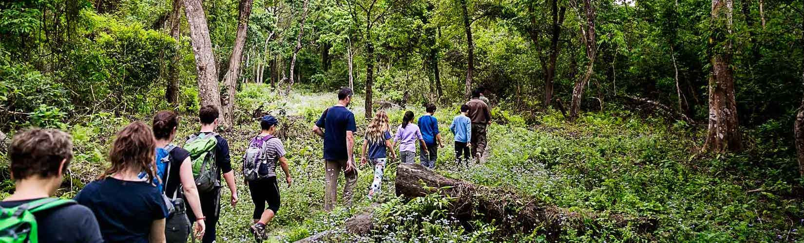 Jungle Safari in Nepal