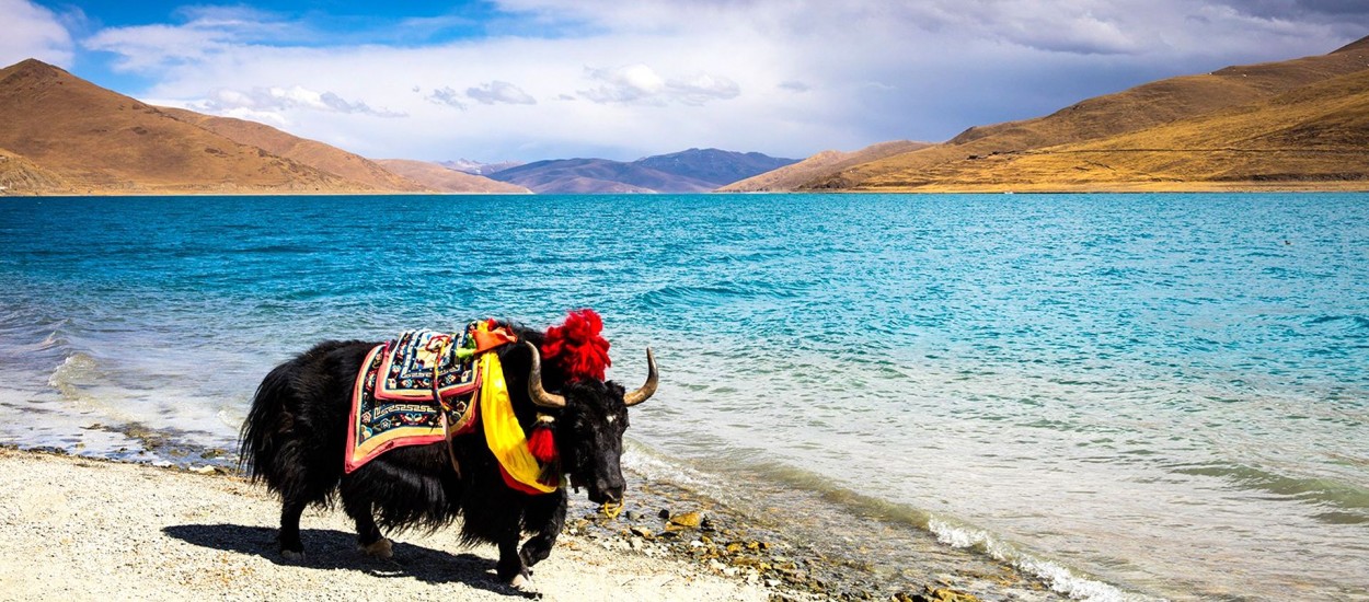 Tibet Heritage tour