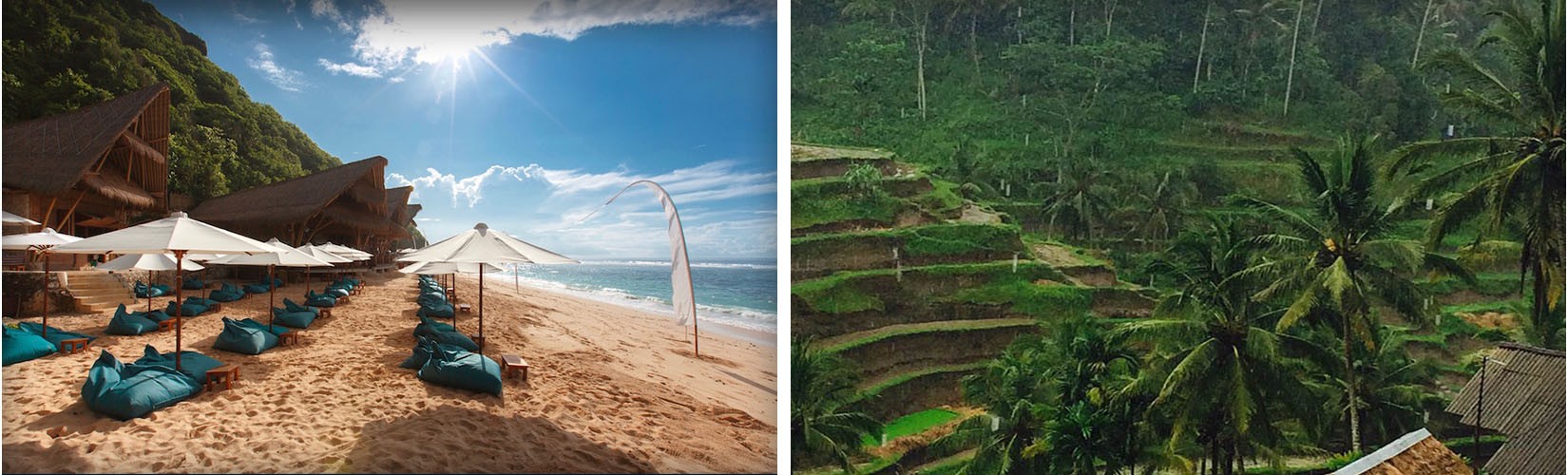 Best Time to Visit Bali