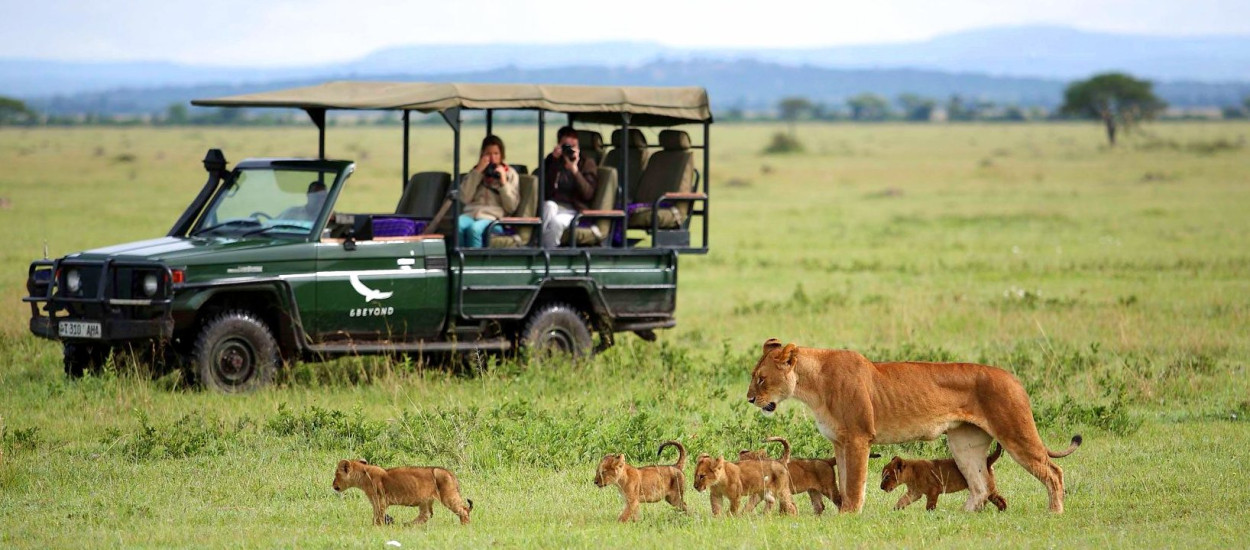 Wilderness Wonders: Tanzania Wildlife Safari Adventure