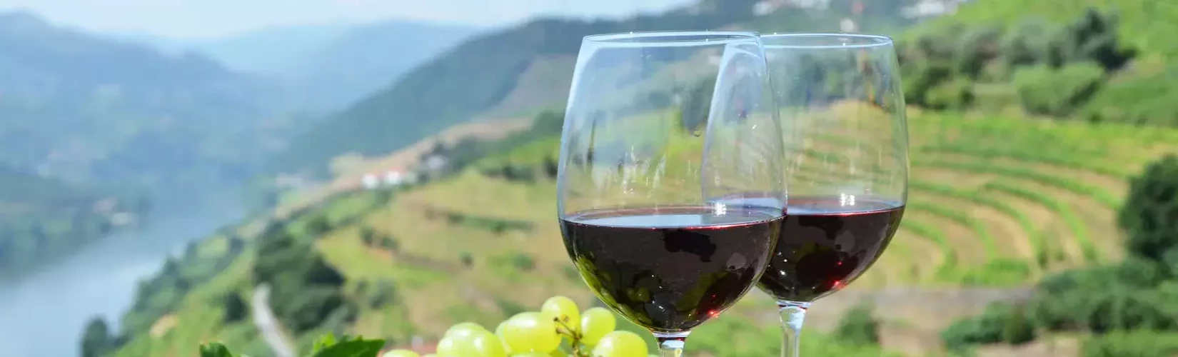 Wine Tasting in Nepal