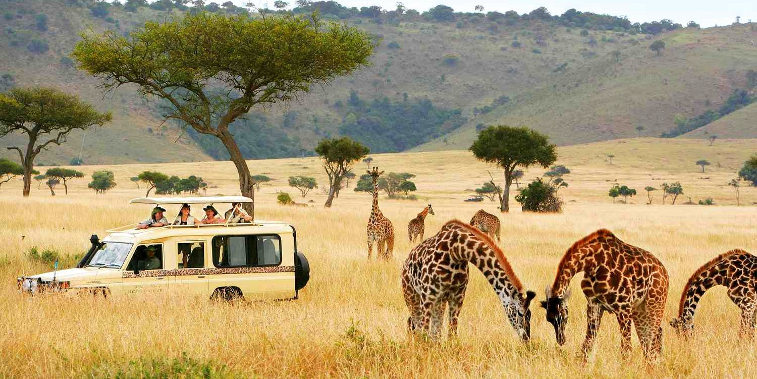 Must Visit Places in Kenya: Top Safari Destinations & Cultural Gems