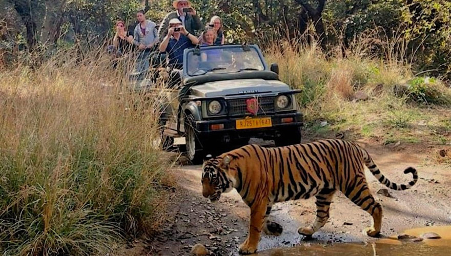 3 days Chitwan National Park Jungle Safari Package