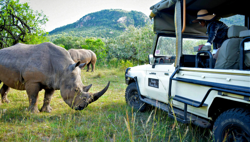 Kenya Safari