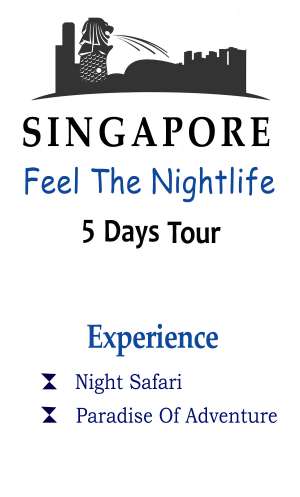 Singapore Tour With Night Safari